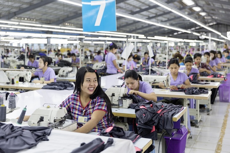 How many garment factories are there in Vietnam? Gold Garment