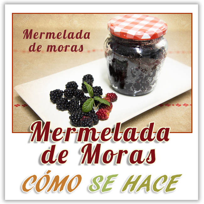  MERMELADA DE MORAS SILVESTRES