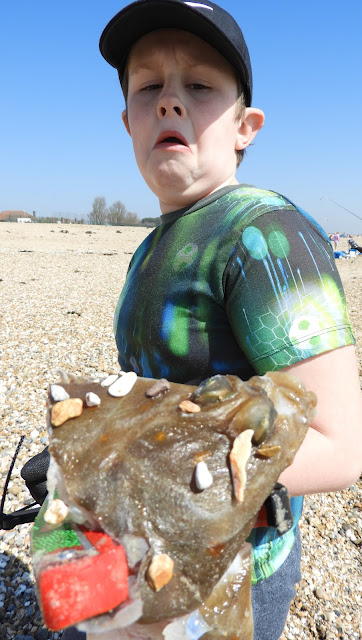 southsea beach clean activity