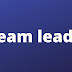 Team lead 