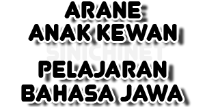 Arane Anak Kewan Pelajaran Bahasa Jawa Sinichinet