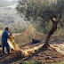 As bênçãos proferidas no monte Gerizim