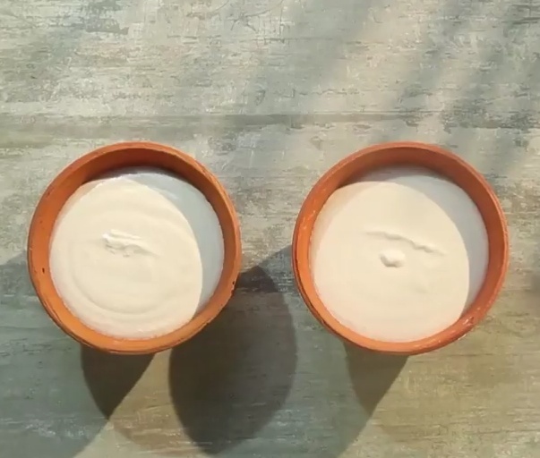 How to make Vegan Yoghurt at Home Homemade Vegan Yoghurt Recipe