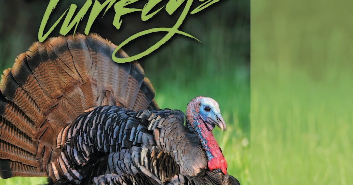 Whitetail Institute How to Hunt Whitetail Institute Food Plots for Turkeys