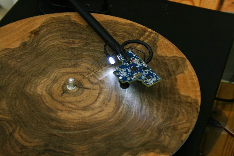 Slices of Tree Trunk Played on a Record Player