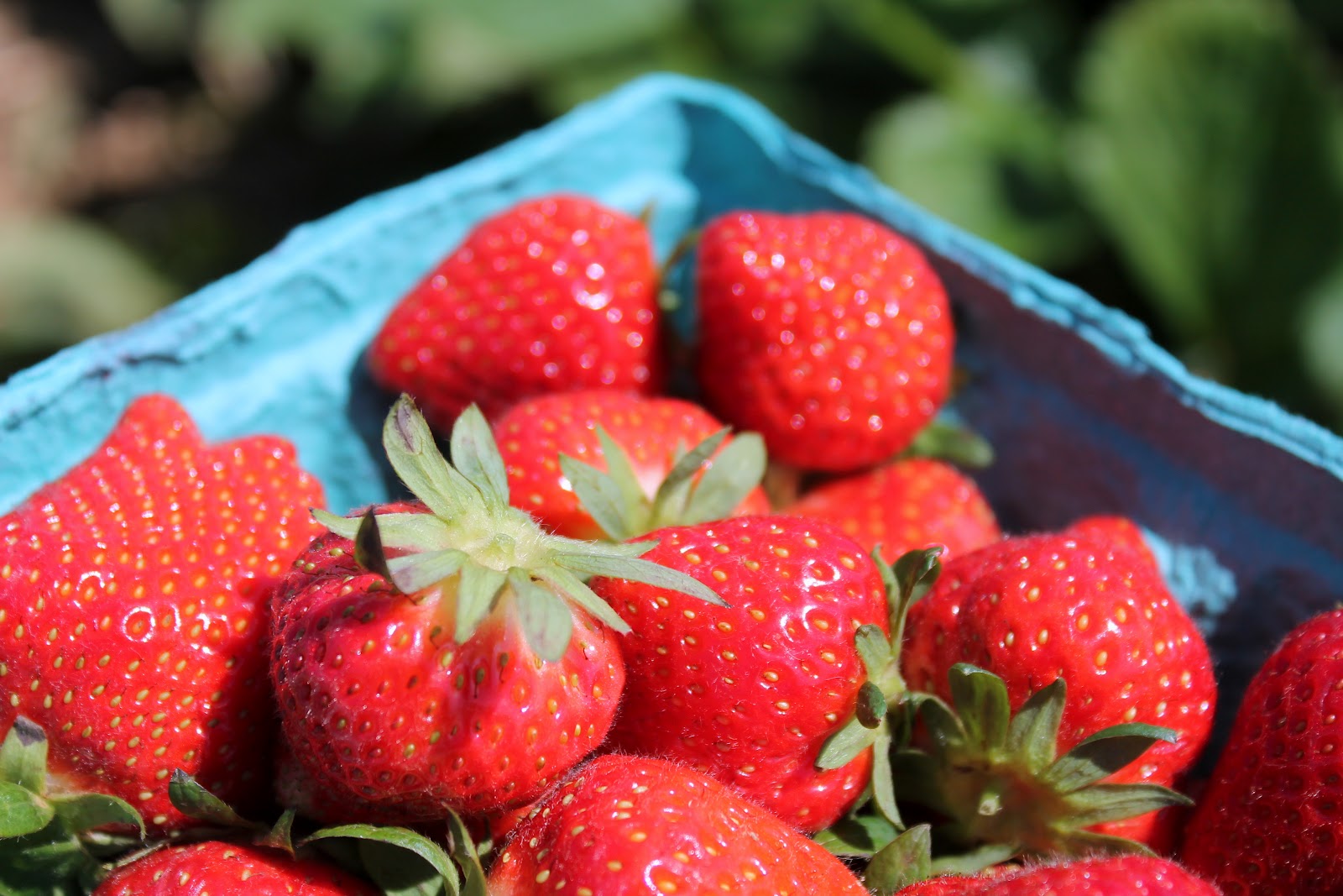 The Cupcake Avenger Jeni's Roasted Strawberry Buttermilk Ice Cream