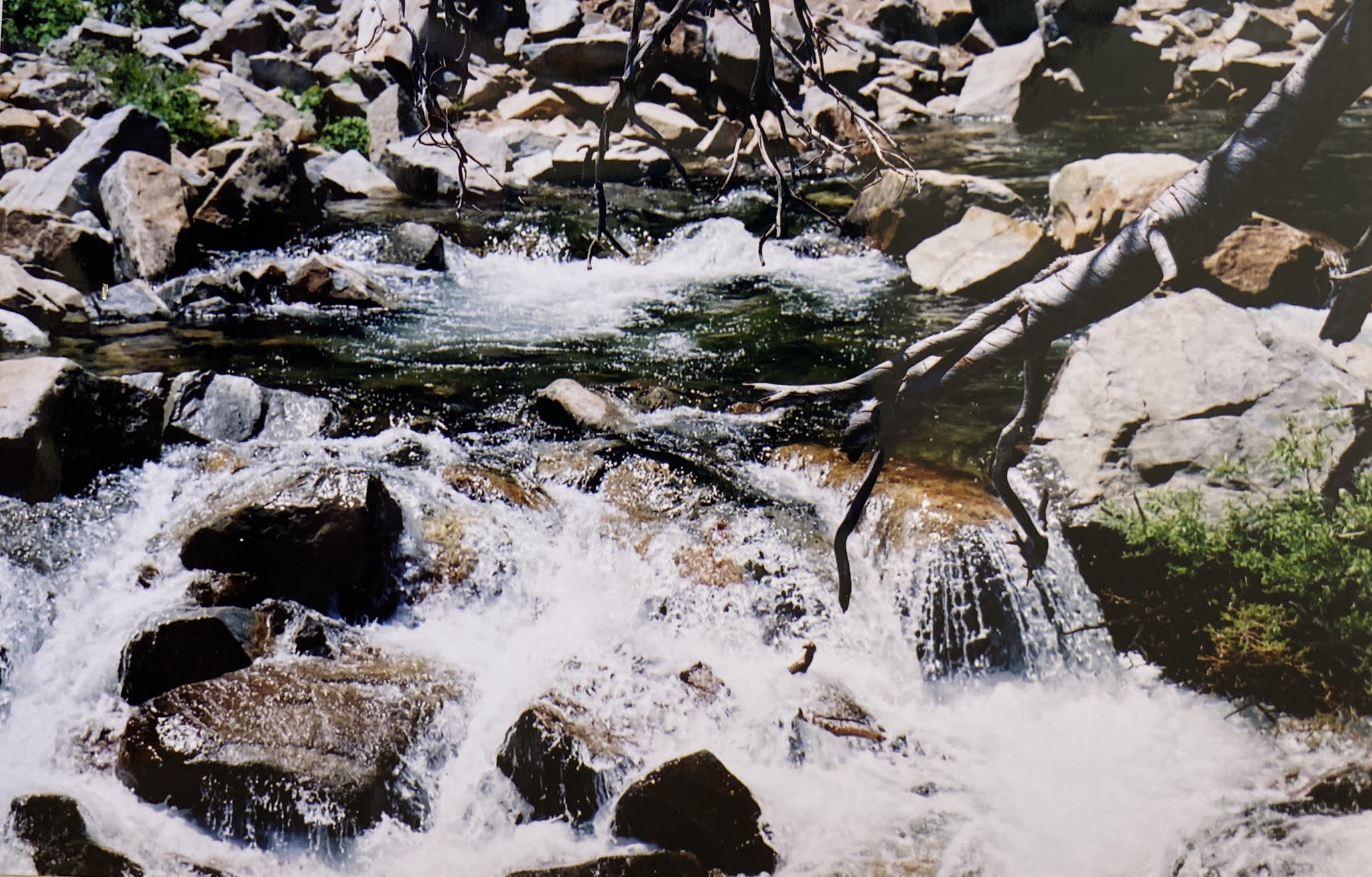 Malka Out Of The Closet