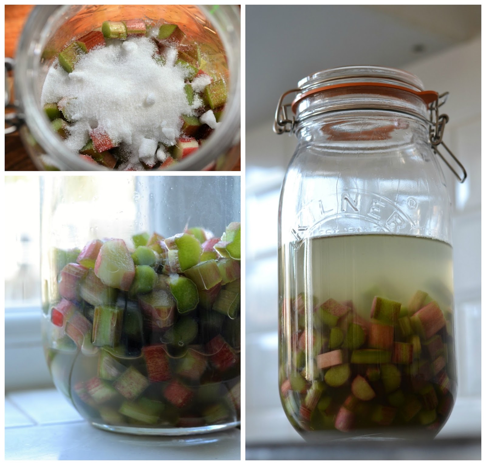 Rhubarb Gin