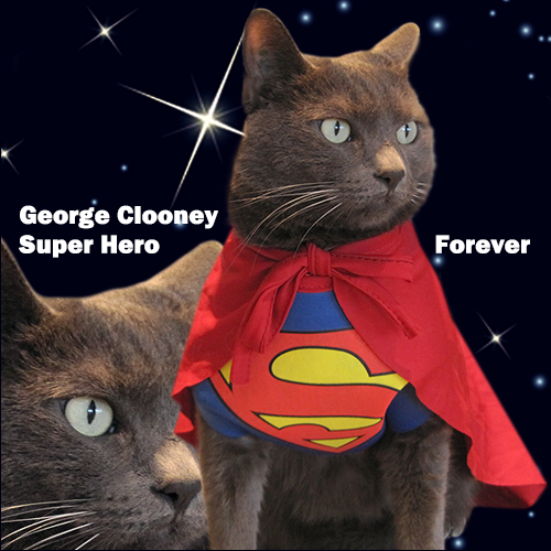 CLOONEY *MANCAT DIVINE*                      (7/14/2006 - 7/2/2021)