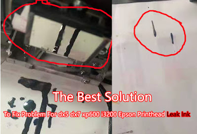 Epson DX5 Head Leak Ink