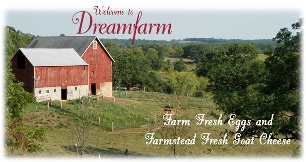 Dreamfarm News