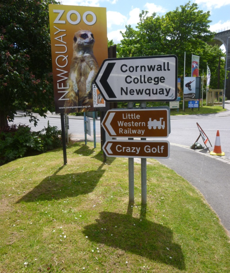 The Ham and Egger Files Crazy Golf and Pitch & Putt at Trenance