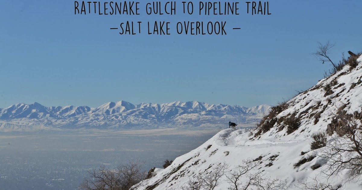 Katie Wanders Dog Friendly Rattlesnake Gulch Winter Hike in