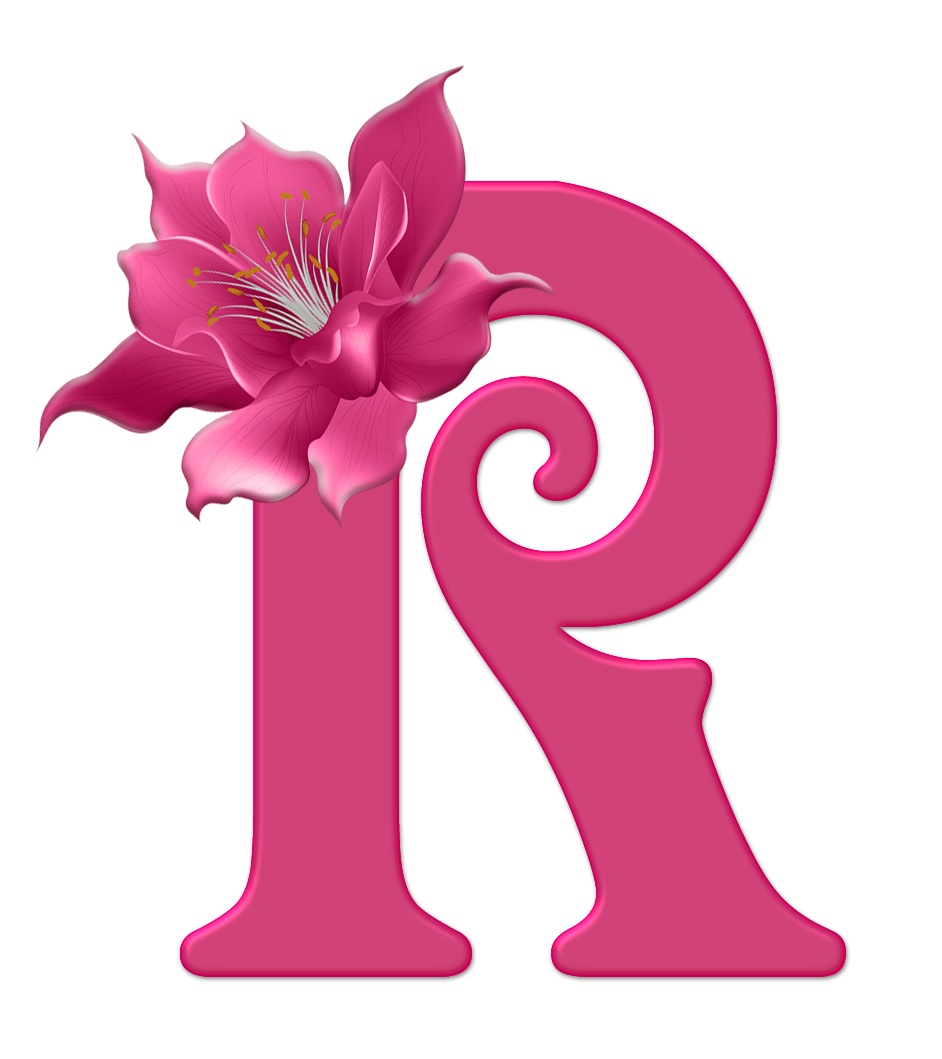 Sussurro De Amor Alfabeto Decorativo Textura Rosa Lírio Rosa