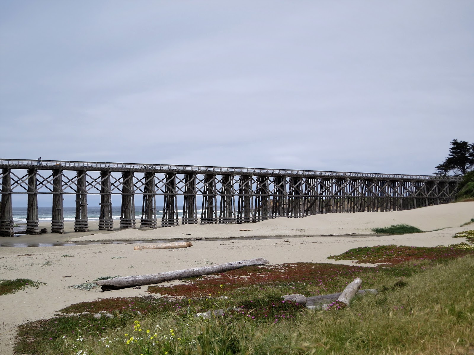 On the Road Abode Trading a zip code for a toad A Quickie in Fort