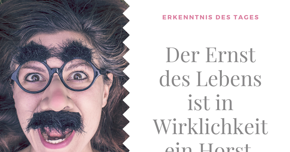 Anja Reiche Der Ernst des Lebens ist in Wirklichkeit ein Horst