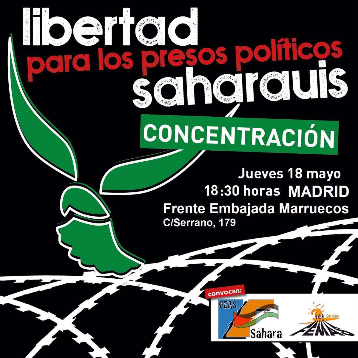 18 mayo Concentración Libertad para los presos políticos Saharauis