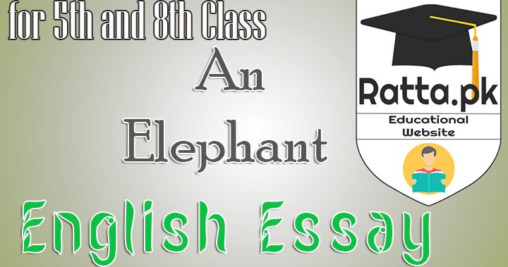 Autobiography of an elephant picture