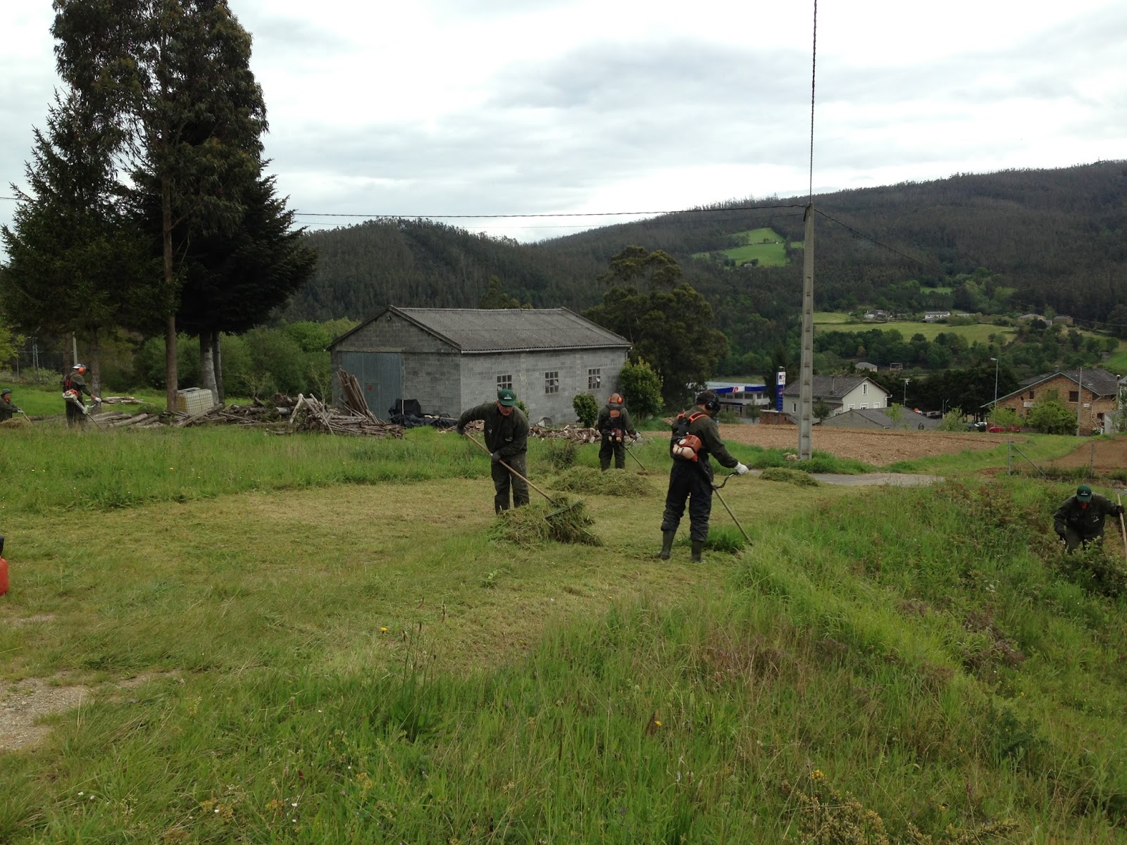 TALLER DE EMPLEO OSCOS EO