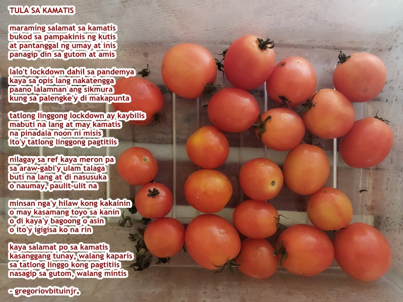 Panitikang Pangkalikasan Tula sa kamatis