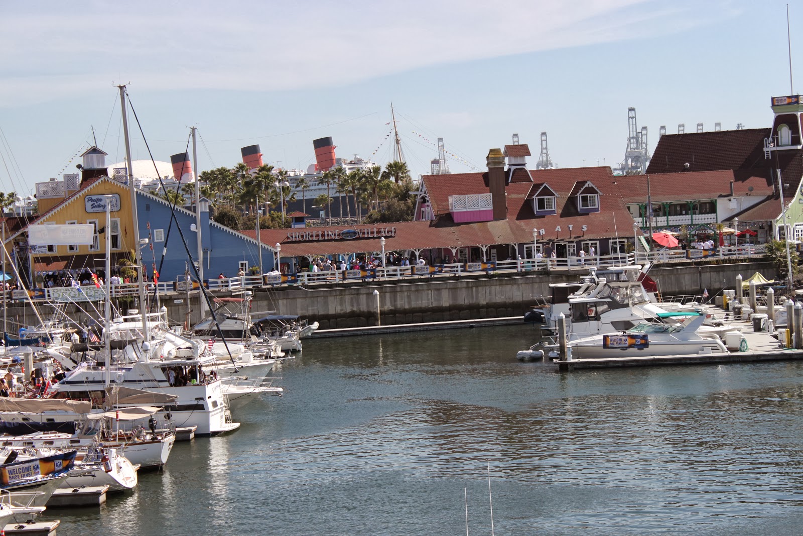 what stores sell funnel cakes
