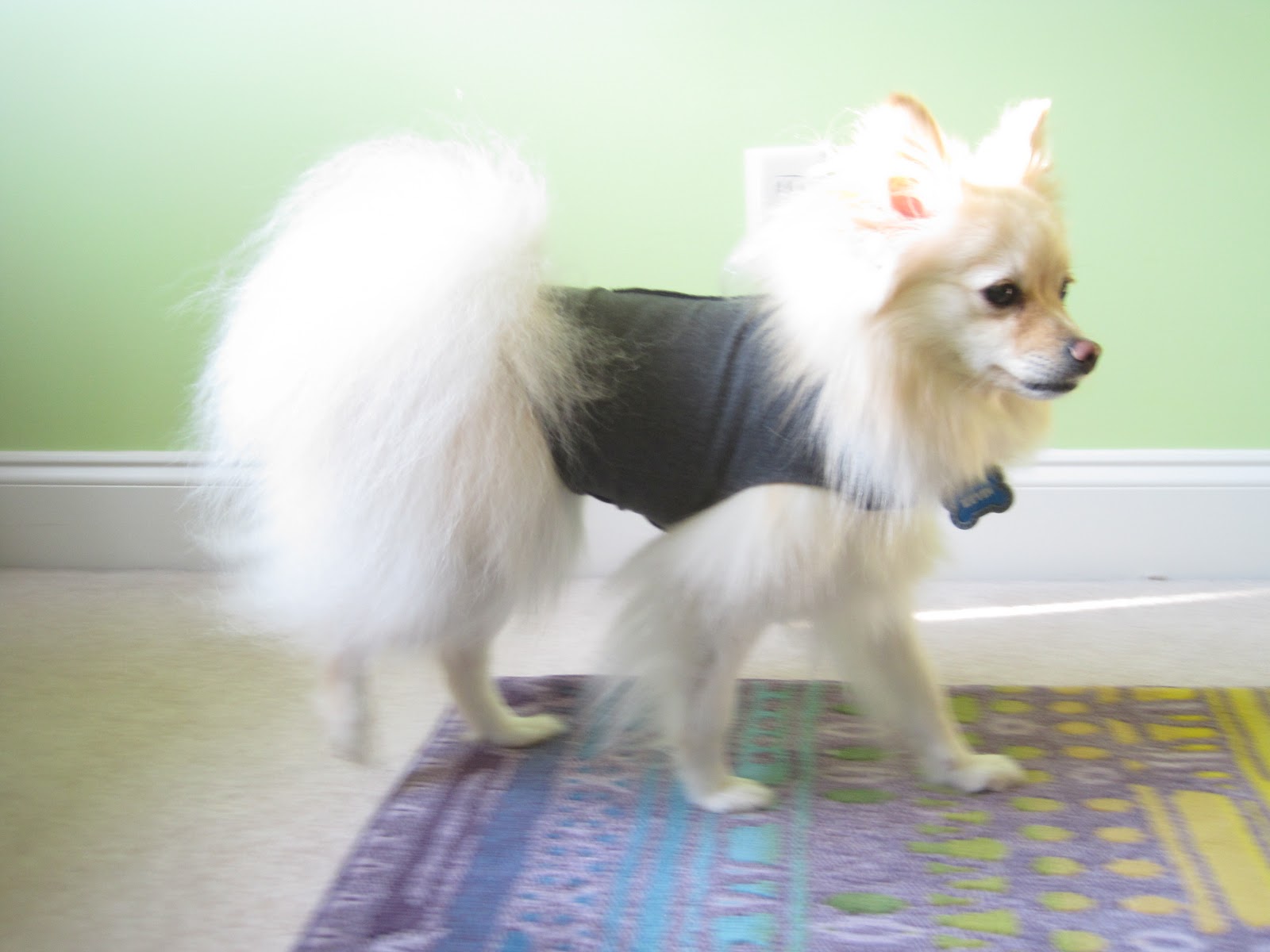 Notes From A Nerdling Doggone It 
