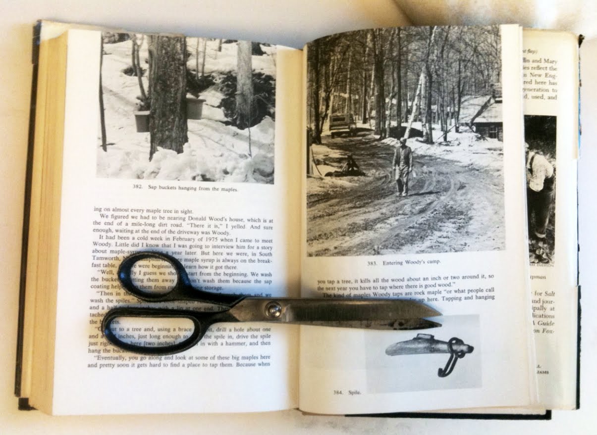 10engines the salt book