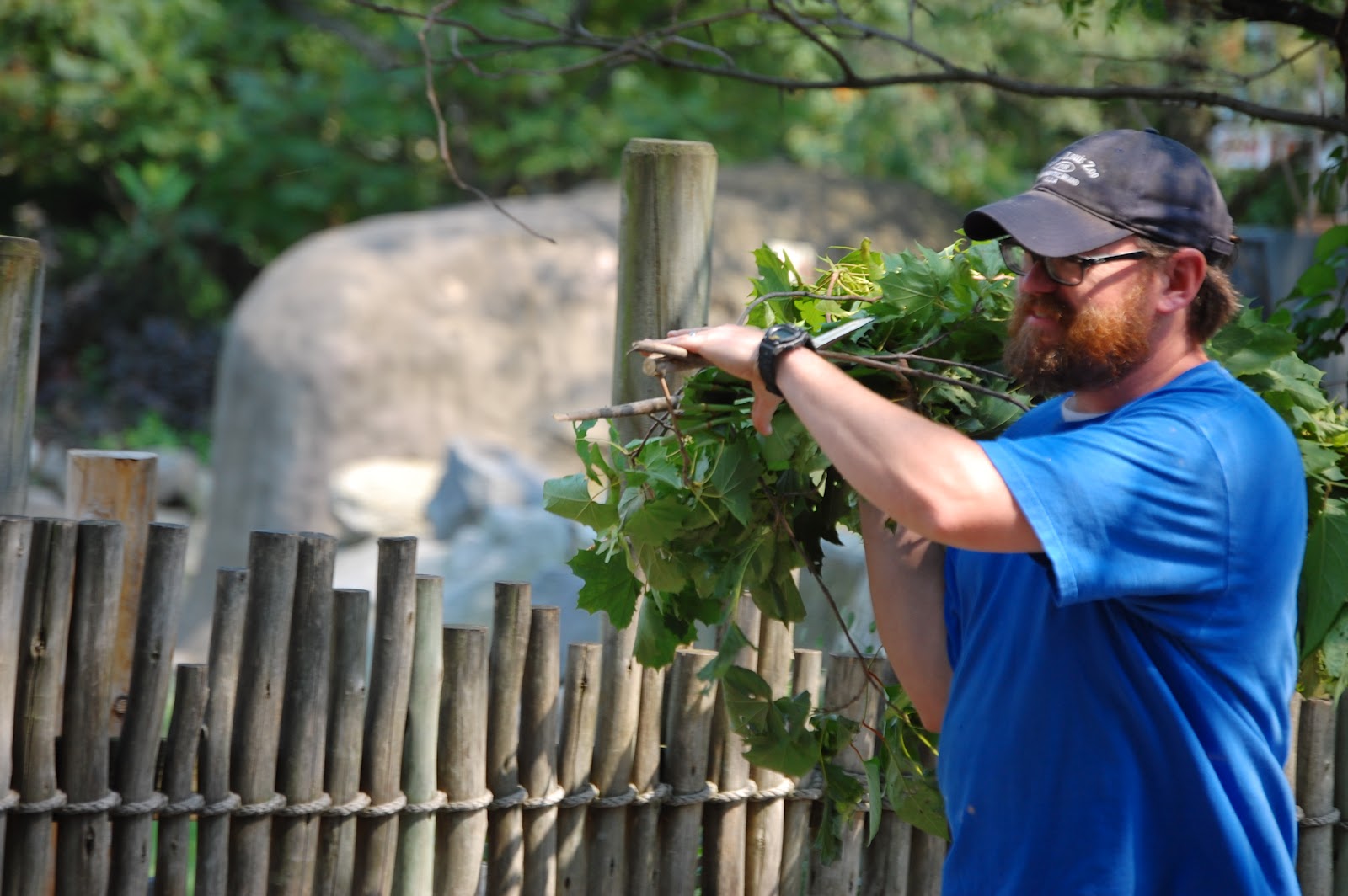 The Stevens Family Roger Williams Zoo!