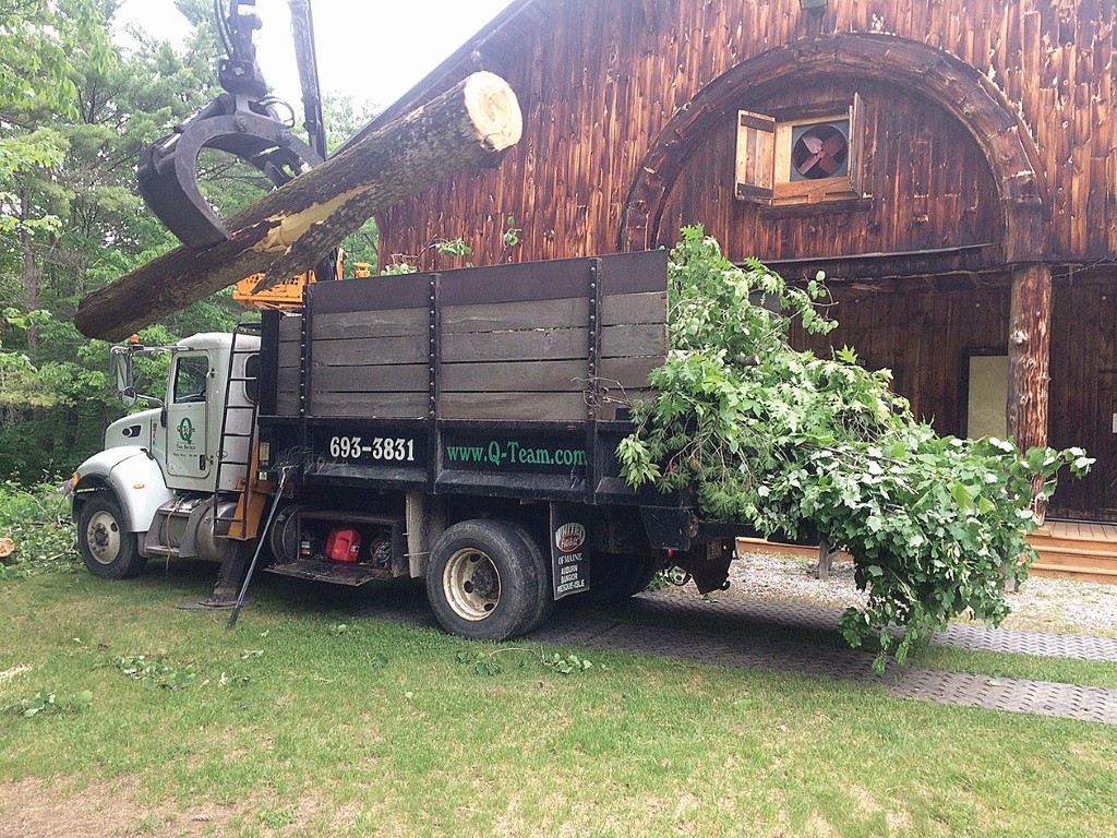 The Windham Eagle Business Business Spotlight QTeam Tree Service