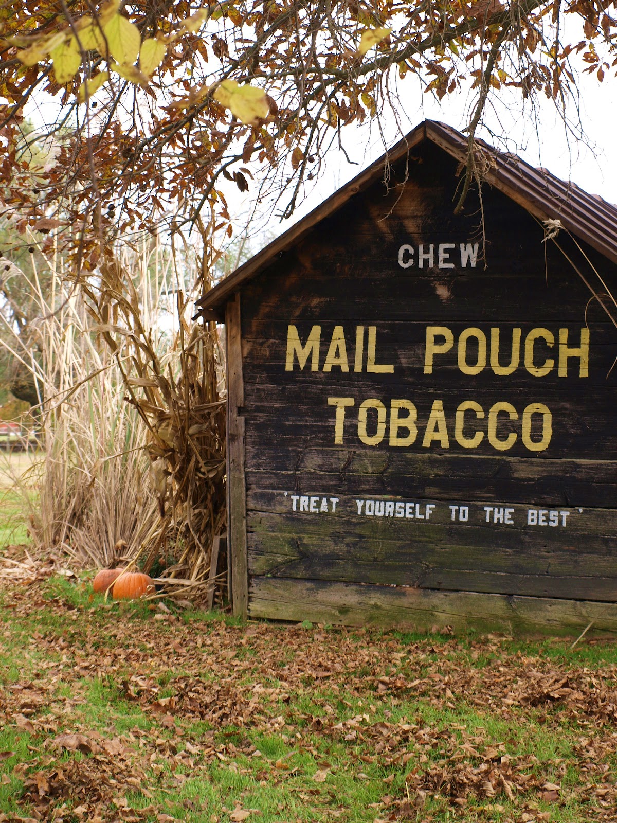 We decided when we purchased our small farm last August that we wanted 