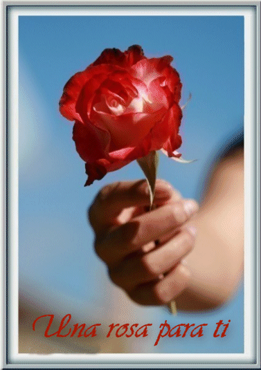 Résultat de recherche d'images pour "una flor para tí"