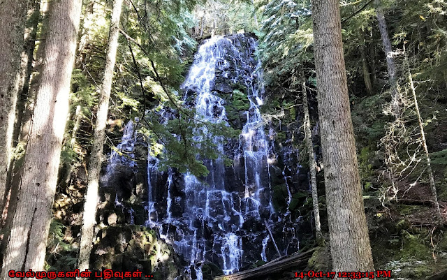 Oregon Must see Scenic Waterfalls