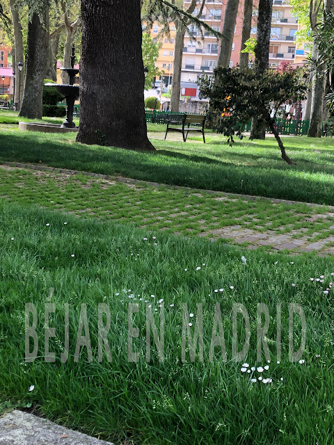 El parque de La Corredera nos deja una sorprendente imagen por el COVID19 - 25 de abril de 2020