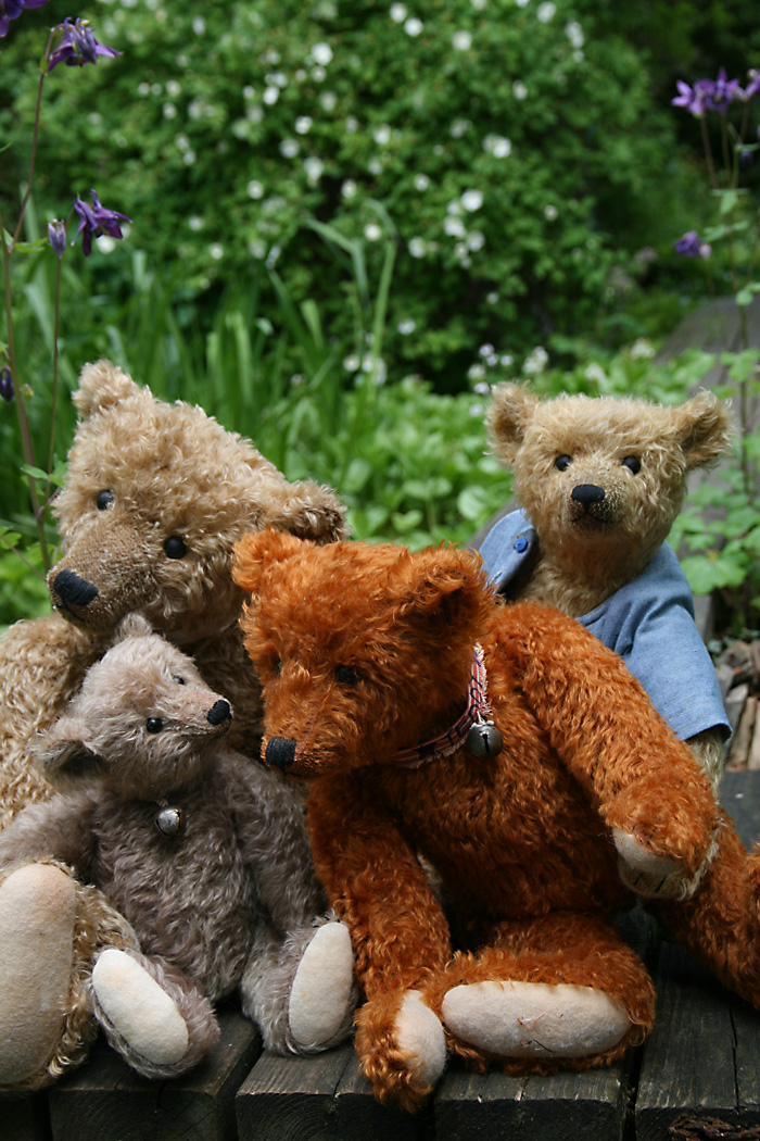 Bären in Haus & Garten: Familientreffen