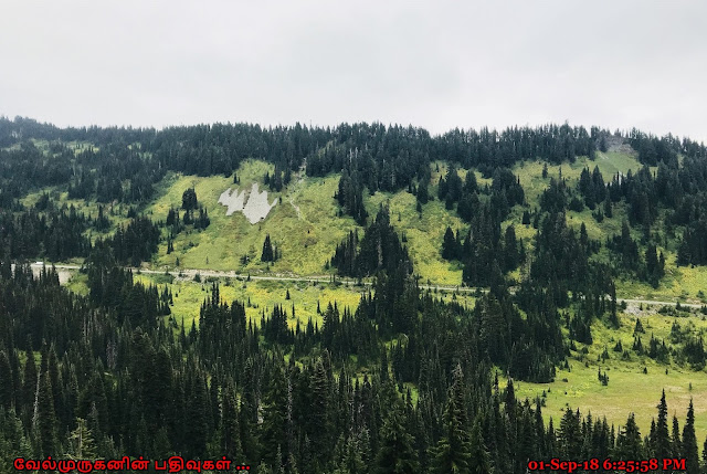 Paradise Valley in Mount Rainier