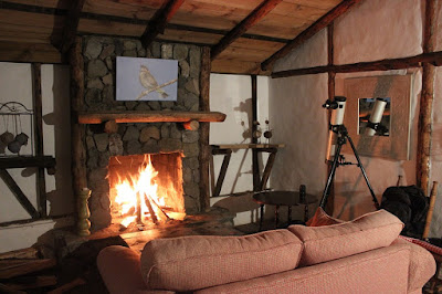 camino-calore-fuoco-arredamento