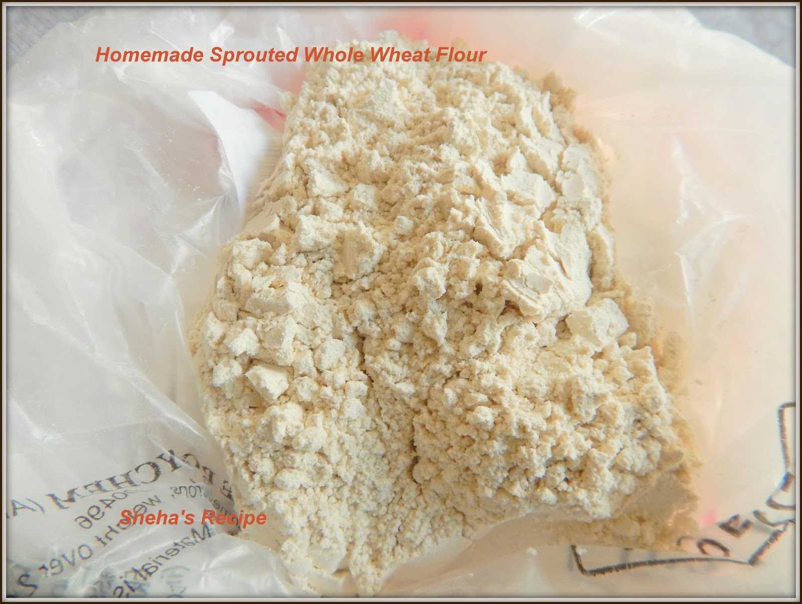Sprouted Whole Wheat Flour Mini RollsBreadBakers Sneha's Recipe