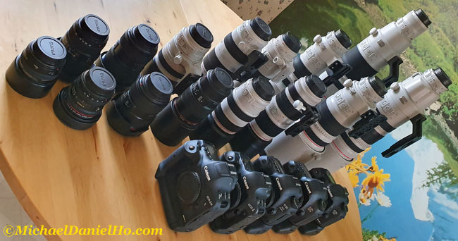 Michael Daniel Ho - The Wildlife Ho-tographer: Canon to announce RF