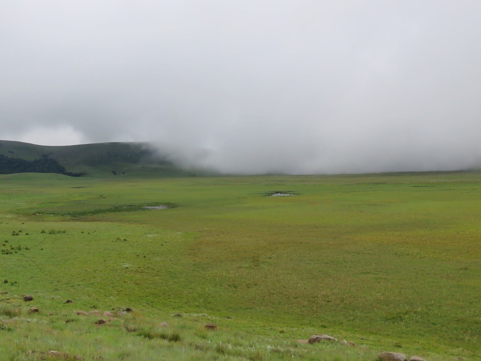 Southern Africa's Ramsar Sites: uMgeni Vlei Nature Reserve