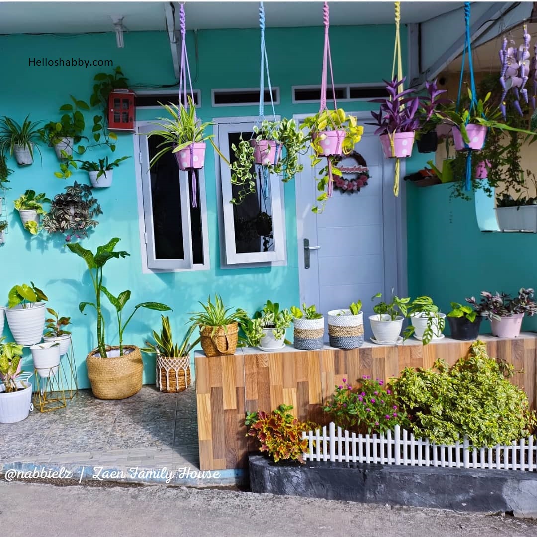 Percantik Teras Rumah dengan 6 Desain Tanaman Gantung yang Menarik Mata