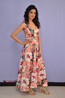 Actress Richa Panai Pos in Sleeveless Floral Long Dress at Rakshaka Batudu Movie Pre Release Function  0005