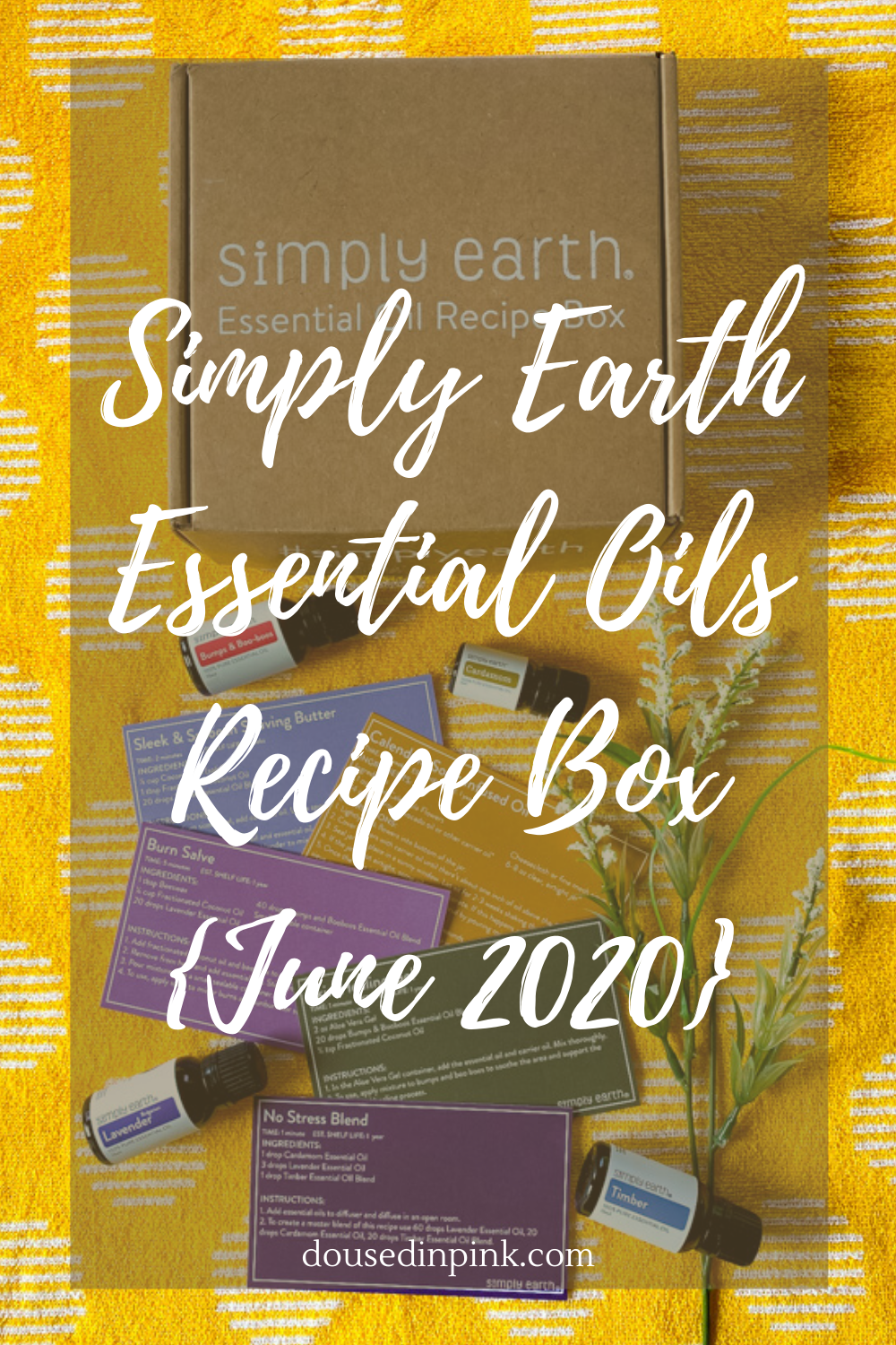 simply earth essential oils recipe box june 2020