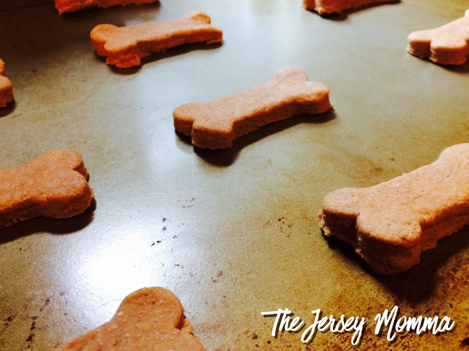 Easy 2 Ingredient Dog Treats Make Your Own Healthy Dog Biscuits! The