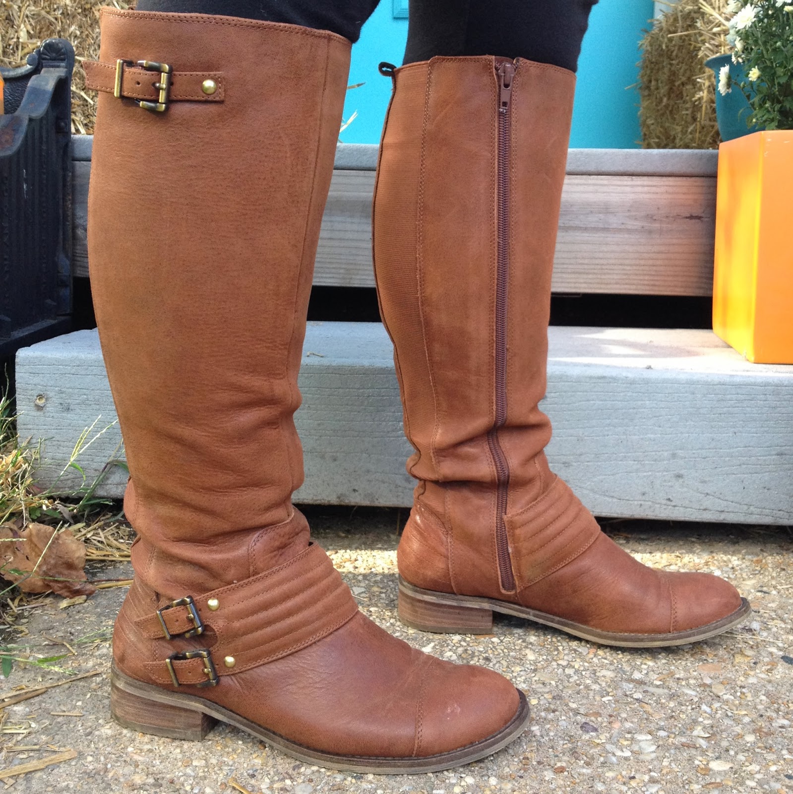 Lola, Tangled: Wide Calf Boots Buying Guide