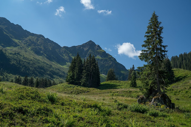 E-Bike Rundtour Hochjoch - Alpe Innerkapell  Silvretta-Montafon 11