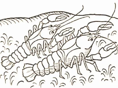 Zwei Krebse - Vorbild und Tadel - Fabel von Aesop Zwei Krebse - Vorbild und Tadel - Fabel von Aesop
