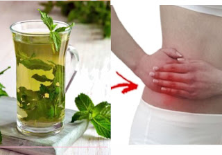 Appendicitis Home Remedies and Treatment