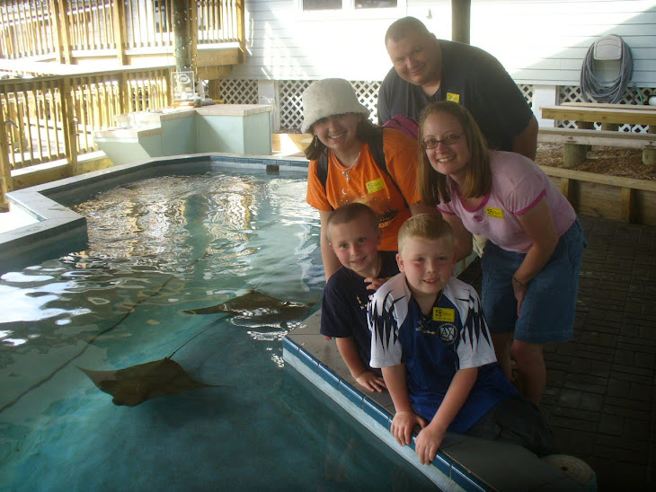Petting the Rays at the Oceanographic Museum