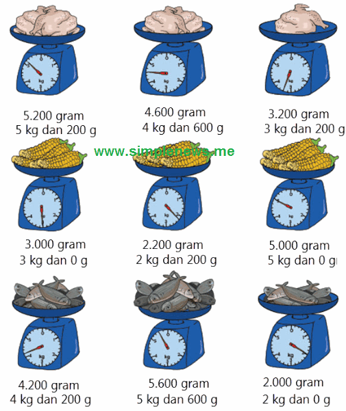 Get Kunci Jawaban Tema 3 Kelas 3 Halaman 98 PNG