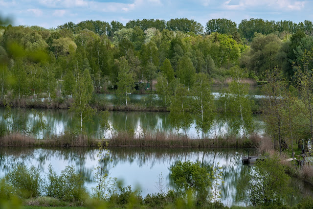 Premiumwanderweg DonAUwald  Etappe 4 von Dillingen nach Höchstädt 14